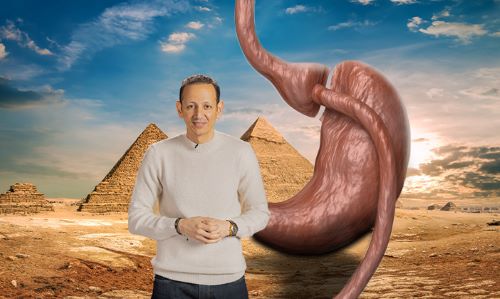 أفضل دكتور تحويل مسار في مصر